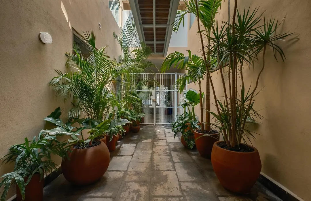 Cholula Condesa Hotel By Lumina-1